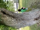 img_3921